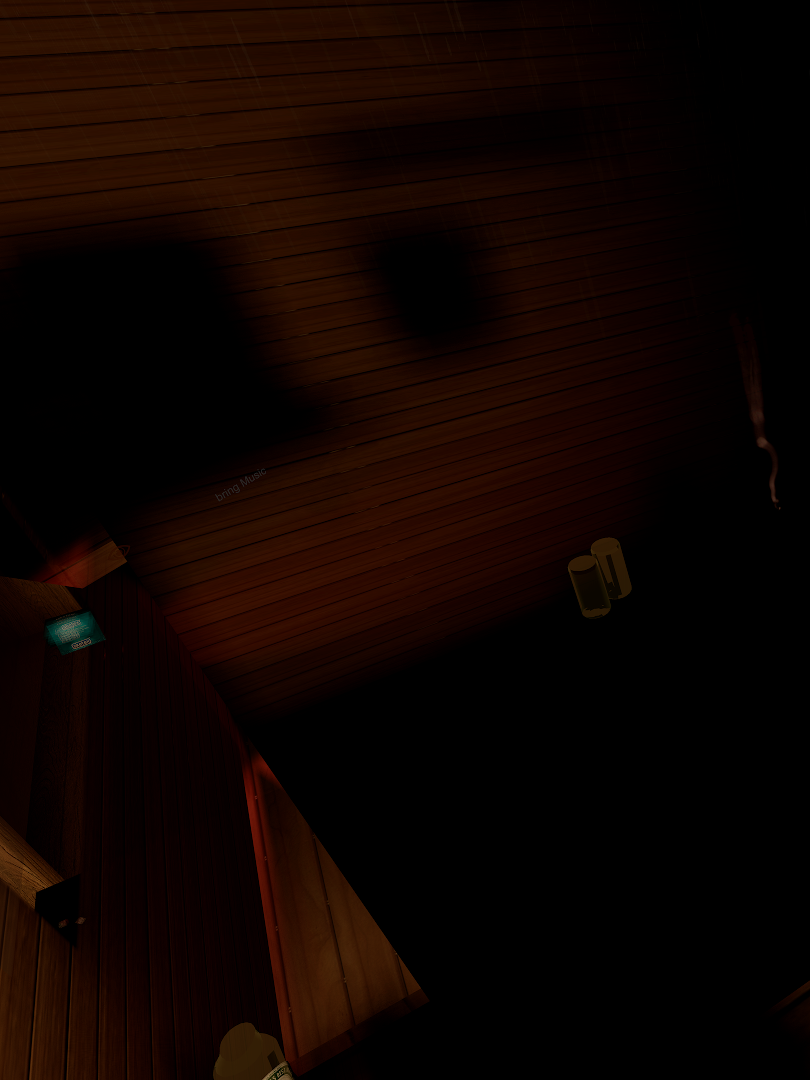 Russian Banya Experience (Extended)