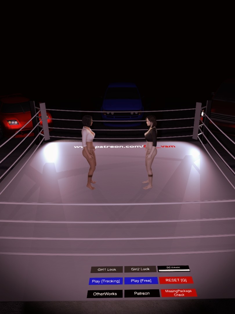 StreetSexFight N