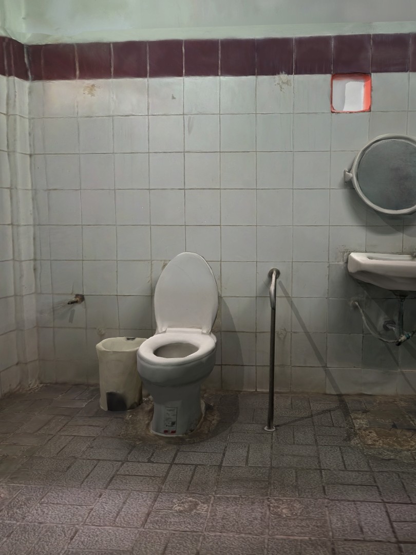 50s Realrooms Thai toilet