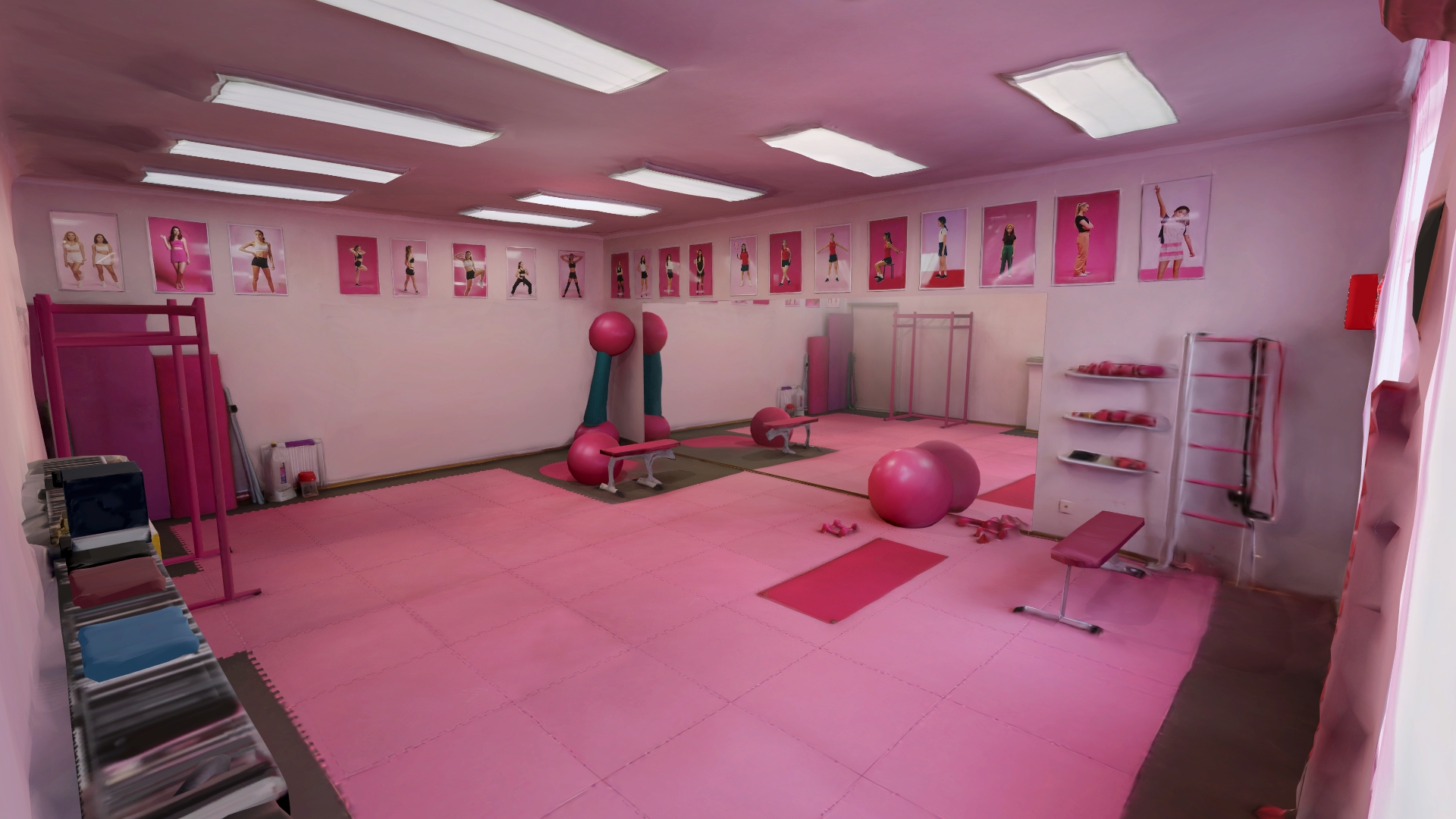 50shades.Pink Gym.1 1
