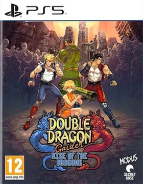 双截龙外传：双龙出海.Double Dragon Gaiden: Rise Of The Dragons