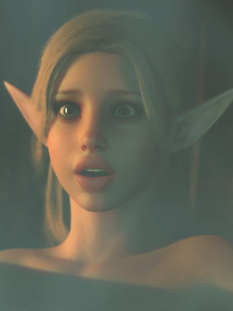 The Elfs Handmaiden